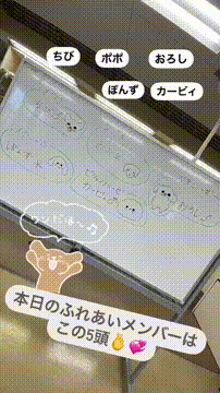 OCカメラサムネイル画像