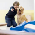 専門学校ビジョナリーアーツ 災害救助犬 トレーニング体験