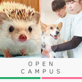 中央動物総合専門学校 未来の動物のプロフェッショナルへ！オープンキャンパス