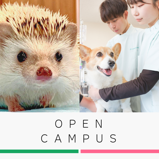 中央動物総合専門学校 未来の動物のプロフェッショナルへ！オープンキャンパス1