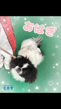 OCカメラサムネイル画像
