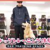 ＴＣＡ東京ＥＣＯ動物海洋専門学校 ドッグトレーニング体験