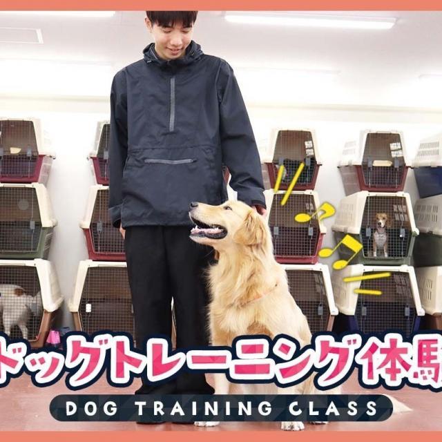 ＴＣＡ東京ＥＣＯ動物海洋専門学校 ドッグトレーニング体験1