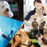 1/26(土) 人気授業をよくばり体験してみようの詳細