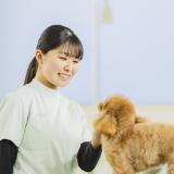 短時間で学校のことがよく分かる！学校説明会の詳細