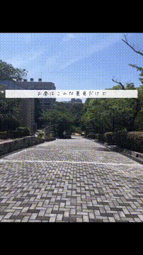 OCカメラサムネイル画像