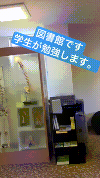 OCカメラサムネイル画像