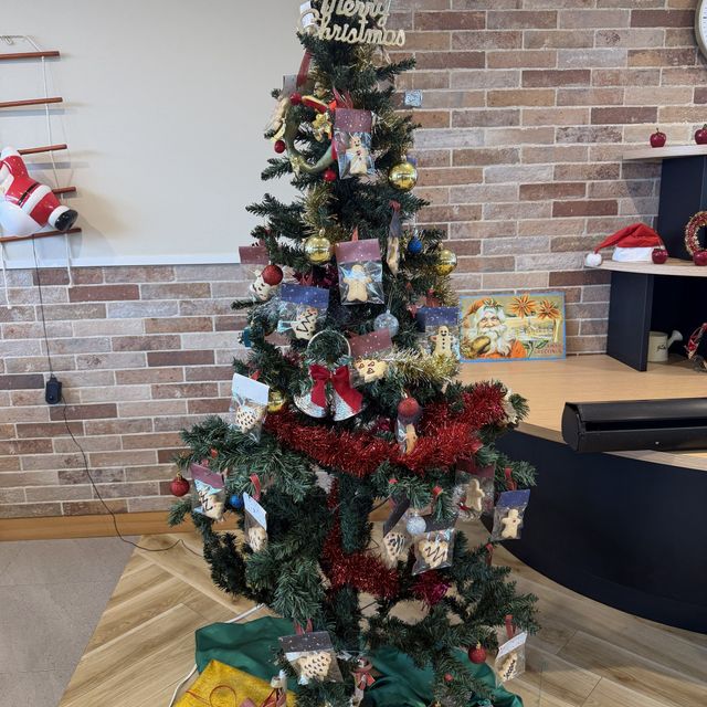 小田原短期大学 スペシャルオープンキャンパス【特別でリッチなオーキャン！！】4