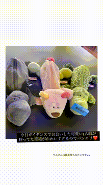 OCカメラサムネイル画像