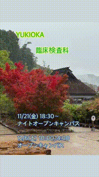 OCカメラサムネイル画像