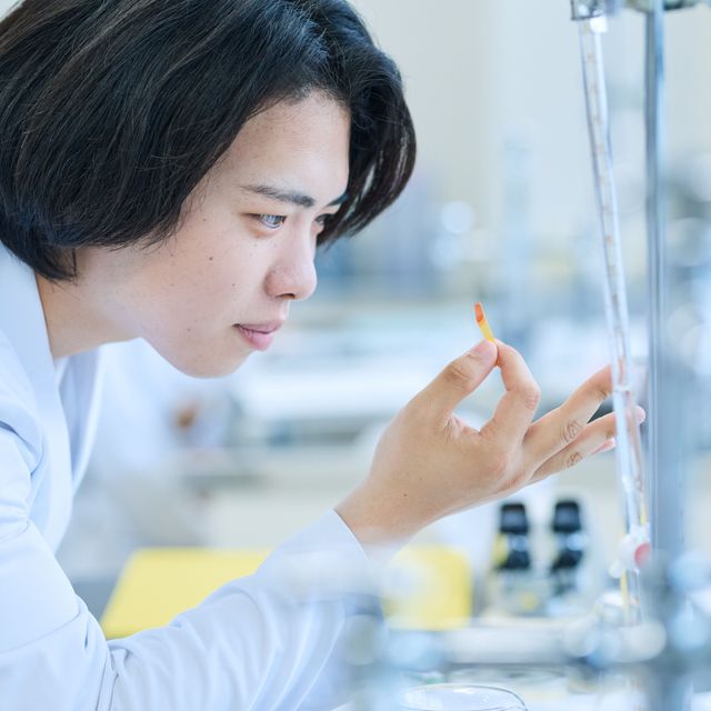 大竹栄養専門学校 萌断サンドイッチ3