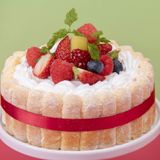 2/28【製菓】いちごのシャルロットの詳細