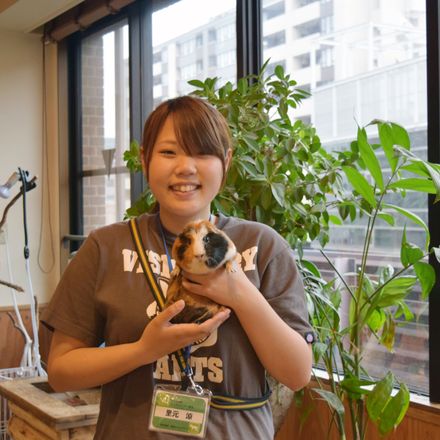 在校生レポート画像