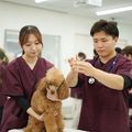 高崎動物専門学校 【動物看護】迷子ダメ、絶対！犬のマイクロチップ装着体験
