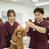 【動物看護】迷子ダメ、絶対！犬のマイクロチップ装着体験の詳細