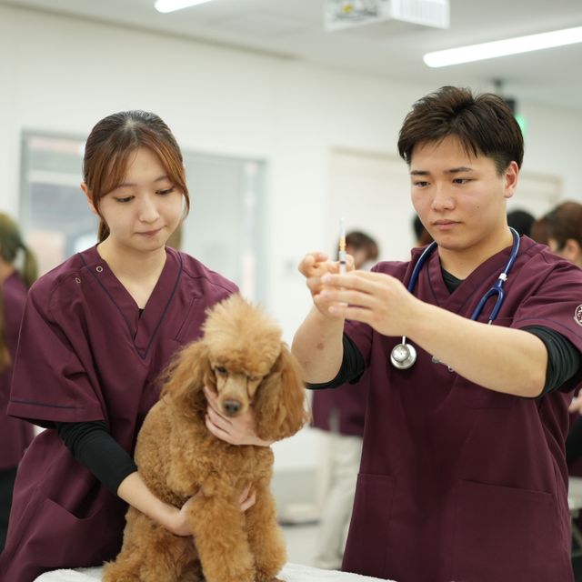 高崎動物専門学校 【動物看護】迷子ダメ、絶対！犬のマイクロチップ装着体験1