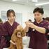 高崎動物専門学校 【動物看護】迷子ダメ、絶対！犬のマイクロチップ装着体験1