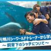 ＴＣＡ東京ＥＣＯ動物海洋専門学校 元鴨川シーワールドトレーナーから学ぶ！飼育下のシャチについて