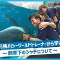 ＴＣＡ東京ＥＣＯ動物海洋専門学校 元鴨川シーワールドトレーナーから学ぶ！飼育下のシャチについて