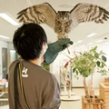 フクロウのフライトに挑戦！／専門学校ビジョナリーアーツ