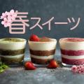 東京栄養食糧専門学校 春スイーツ