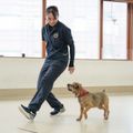 トレーニングを学んでワンコと仲良くなろう！／専門学校ビジョナリーアーツ