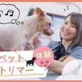 ＴＣＡ東京ＥＣＯ動物海洋専門学校 ペットトリマーお仕事体験