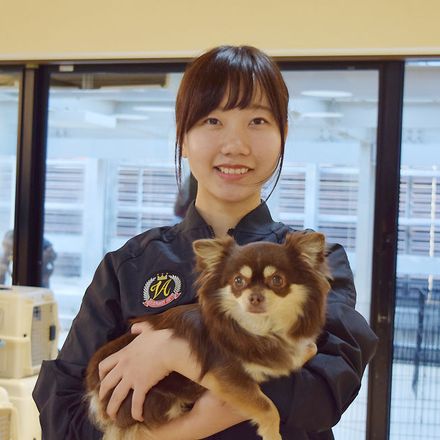 在校生レポート画像