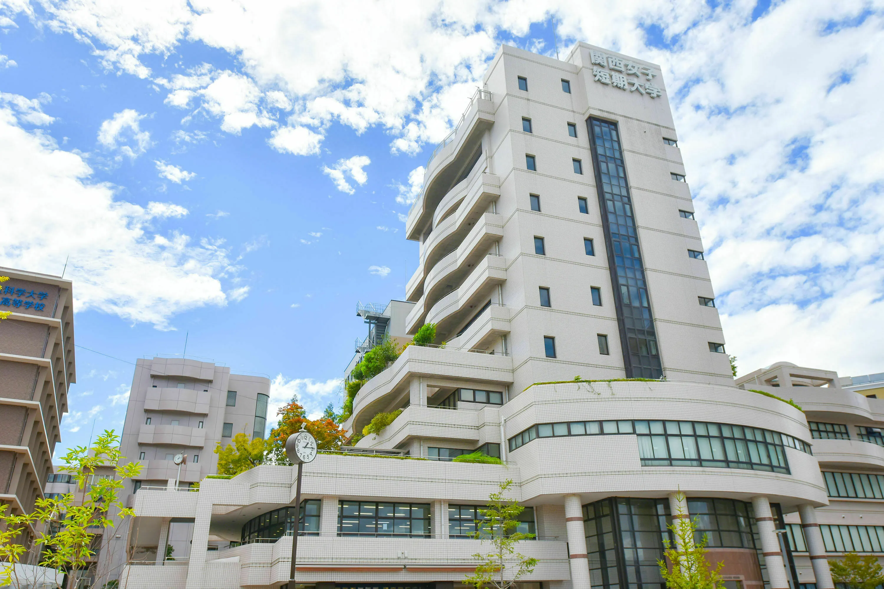 公の場での発言・インタビュー報道記録