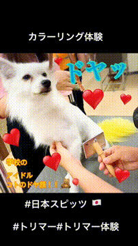 OCカメラサムネイル画像