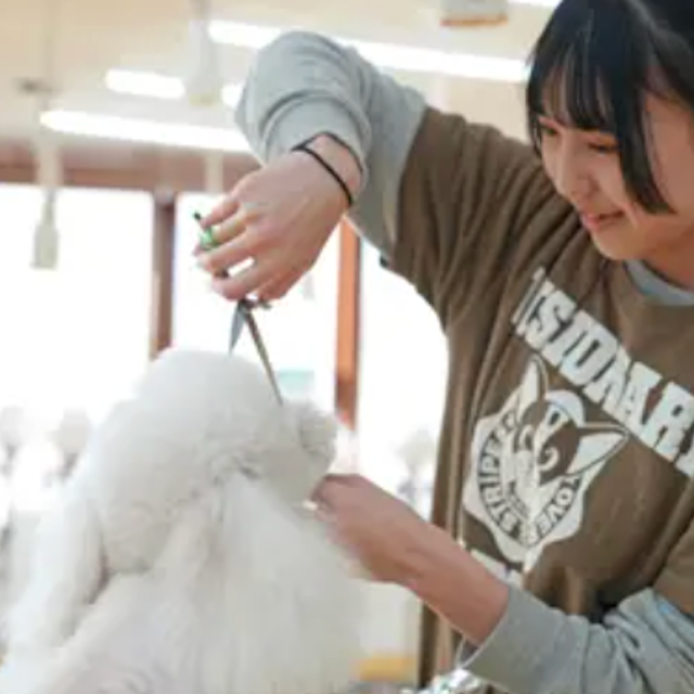 専門学校ビジョナリーアーツ プロから学ぶ本格カットに挑戦！1