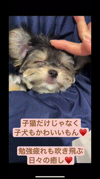 OCカメラサムネイル画像