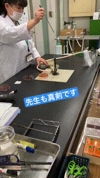 OCカメラサムネイル画像