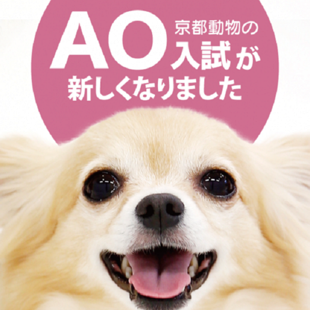 京都動物専門学校 AOまるっと説明会~AO入試が新しくなります~1