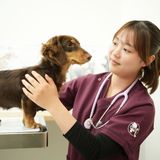 AO入学もコースの魅力も！学校まるわかりオープンキャンパス☆の詳細