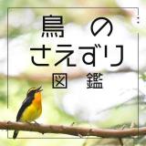 【大学も検討中のあなたへ】本校の研究を見てみよう！の詳細
