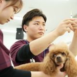 3時間で学校まるわかりオープンキャンパス開催！の詳細
