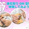 東京医学技術専門学校 【歯科衛生士/1時間】夜間で柔軟な学び方ができる！
