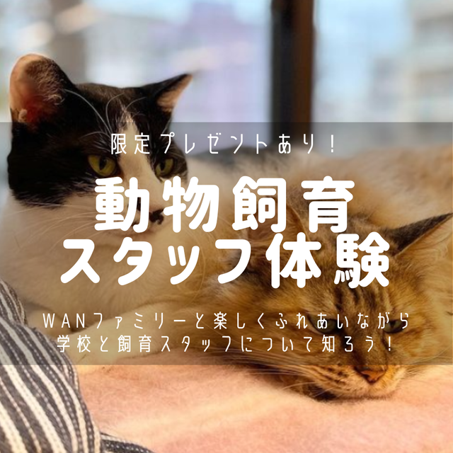 国際ペットワールド専門学校 動物と一緒に飼育スタッフ体験しよう！1