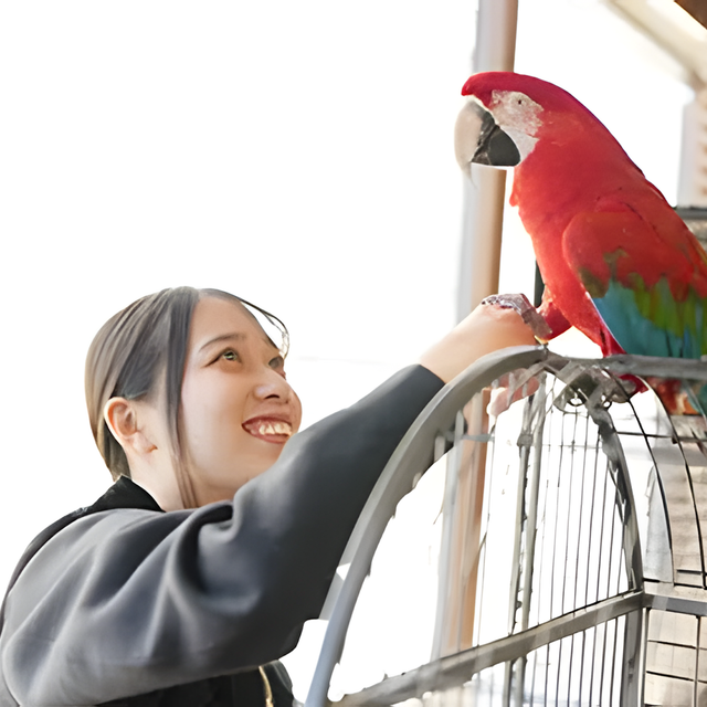 専門学校　福岡ビジョナリーアーツ 【ペット】Vaふれあい動物園1