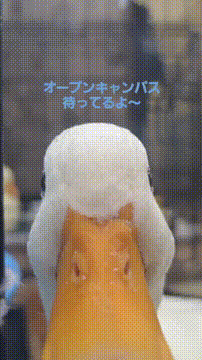 OCカメラサムネイル画像