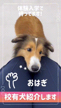 OCカメラサムネイル画像