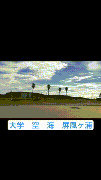 OCカメラサムネイル画像