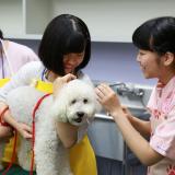 ★専門職短期大学・専門学校 オープンキャンパス★の詳細