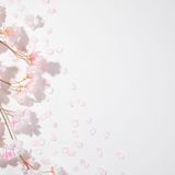 SPECIAL OPEN CAMPUS in Springの詳細