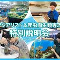 ＴＣＡ東京ＥＣＯ動物海洋専門学校 アクアリスト＆爬虫両生類専攻特別説明会