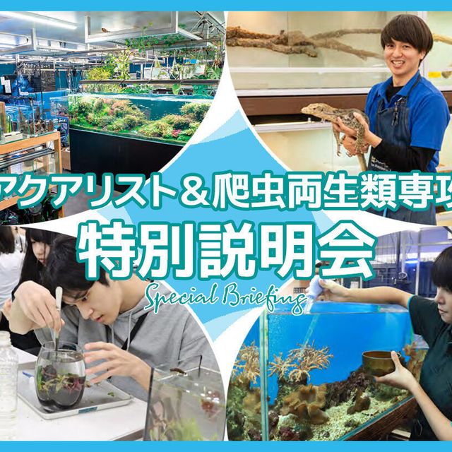 ＴＣＡ東京ＥＣＯ動物海洋専門学校 アクアリスト＆爬虫両生類専攻特別説明会1