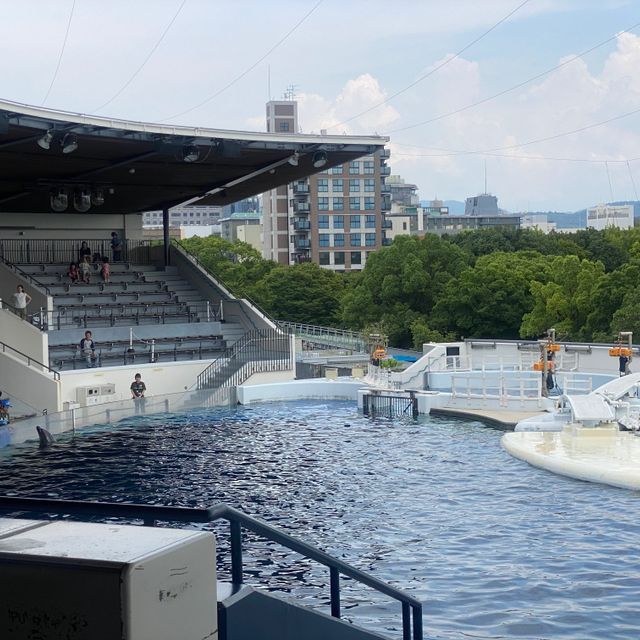 駿台観光＆外語ビジネスカレッジ大阪 鉄道・観光仕事見学ツアー（リニア・鉄道館＆名古屋港水族館）3