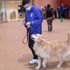 ヤマザキ動物専門学校 Animal Summer Festival 20264