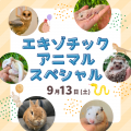 群馬動物専門学校 エキゾチックアニマル大集合スペシャル！